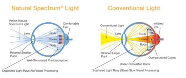 natural spectrum vs. conventional light